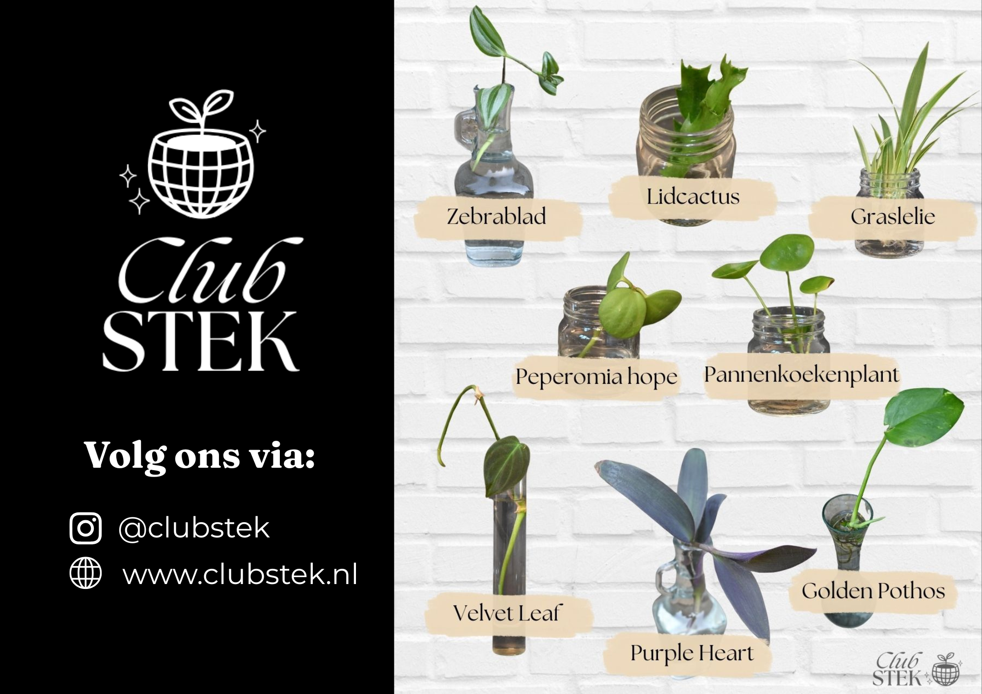 Moors VvE Beheer Websitefinal